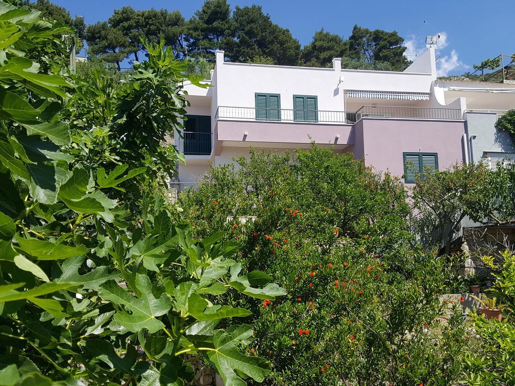 Apartments Pero Podgora Buitenkant foto